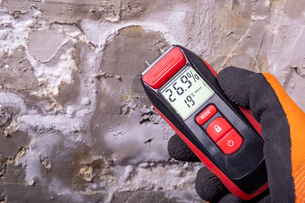Reliable Grove City, FL Mold Removal Solutions
