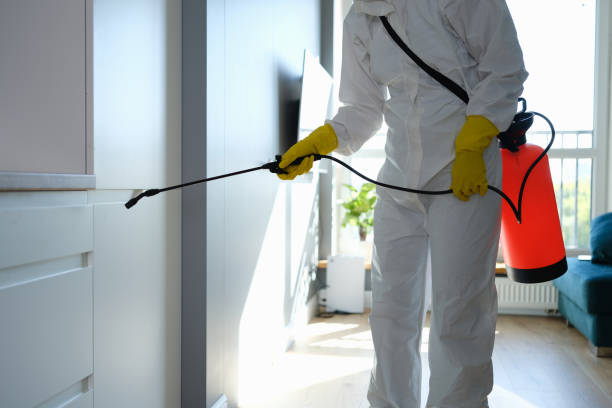 Best Best Mold Removal Companies  in Grove City, FL