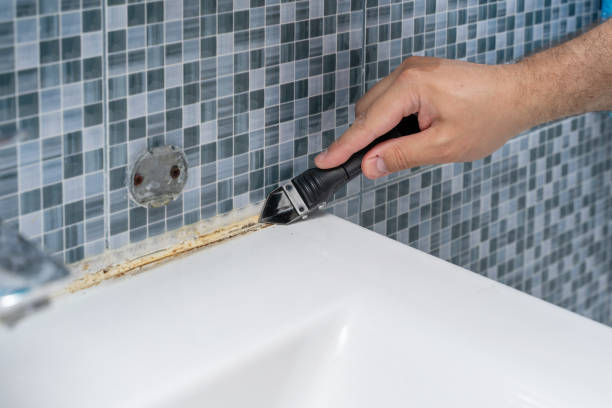 Best Mold Testing  in Grove City, FL