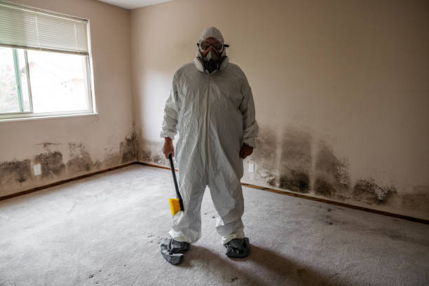 Best Emergency Mold Removal  in Grove City, FL